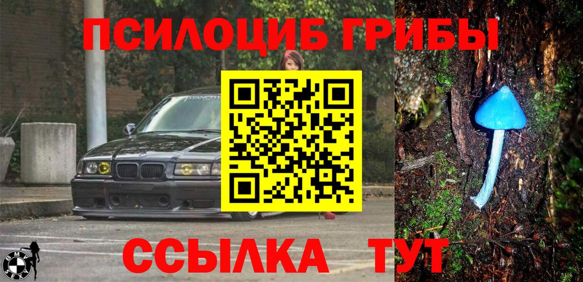 Химки  Псилоцибиновые грибы Cubensis  Вход с VPN 