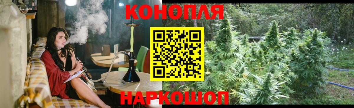 Бошки марихуана планчик  Шишки марихуана сатива  Вход с VPN  Марихуана MAZAR  МАРИХУАНА марихуана  Химки 